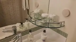Regal Princess - Obstructed Deluxe Balcony E110 - Stateroom Tour