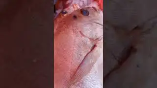 ١١ مارس ٢٠٢٣
