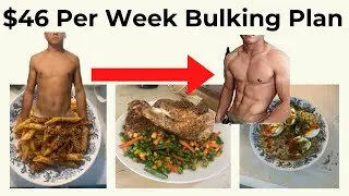 How to bulk for $6 per day
