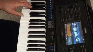 Yamaha PSR-SX700 / Style & 🪗+🪈
