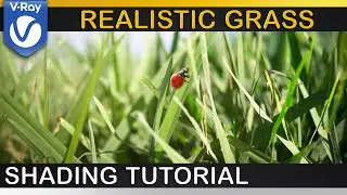 V-Ray | How to make nicer Grass