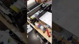 Проблемы с белыми чернилами флагофф/maori. Отслоение подошвы ПГ epson dx7