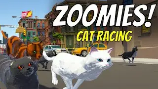 Zoomies! Cat Racing Game