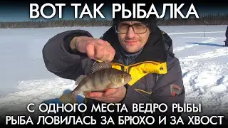 Вот так рыбалка / С одного места ведро рыбы / Рыба ловилась и за брюхо и за хвост