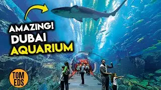 Exploring Dubai Mall and Dubai Aquarium (The Biggest Mall & Aquarium in The World)