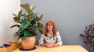 Формирование фикуса каучуконосного (ч.6).