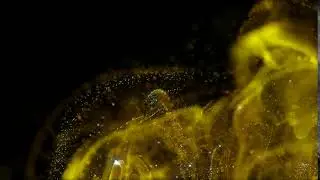 Abstract shimmering golden particles Free HD video background. Footage 