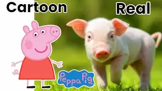 Peppa Pig Characters in real life 💥