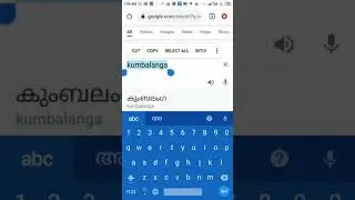 Google Search (Google Translate)  Malayalam Funny. വെണ്ടക്കക്ക് പകരം കുമ്പളങ്ങ. 😁😂