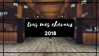 SSO-Tous mes chevaux (2018)