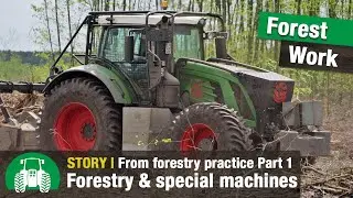 Timber harvest and forestry work with Galle GmbH | Harvester and forwarder in action | Tractors