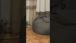 10 мая 2024 г.