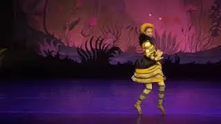 BUTTERFLY 2022 | The Australian Ballet School