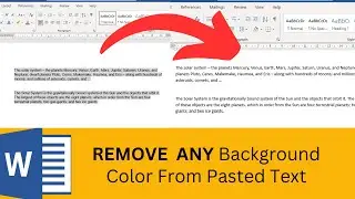 Remove Background Color in MS Word [In 1 Minute]