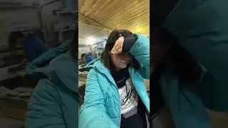 We remove bugs even from Audi