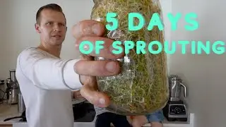 ULTIMATE Sprouting Kit Video | Sprouting Jar, Sprouting Containers, Sprouting Lid | SPROUTING VIDEO