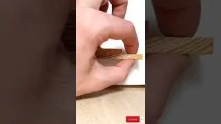 PINNING SMALL INSECTS!!! (Tutorial!)