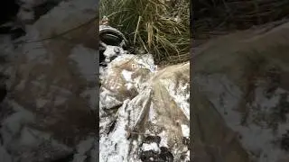 #пошукзагиблих