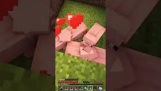 Tu peux survivre ICI ? 🤔 