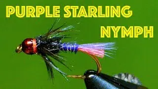 Purple Starling Fast