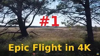 DJI Mini 2 | Epic Flight in 4K - # 1