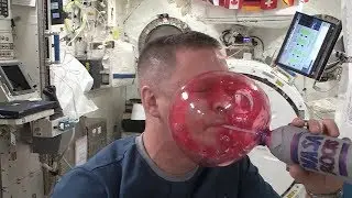 Yuck! Water Sticks to an Astronaut's Face | Video