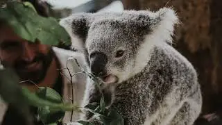 12 Facts You Didn't Know About Marsupials