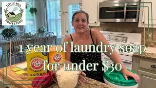 $30 for a year of Laundry soap recipe. This will last for 192 loads. Great for sensitive skin.