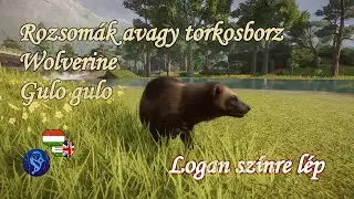 🦡Planet Zoo animals #150 | Wolverine - Logan enters the scene