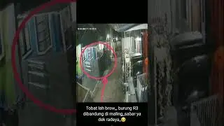 guys ada pencuri dirumah om