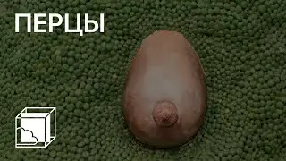 Перцы | Коллекция современного искусства | Пока все дома у Антона