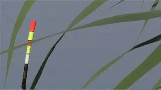 Осінні поплавки в ударі