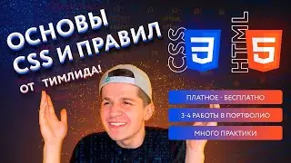 6. Основы CSS | HTML & CSS курс 2.0