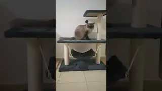 обзор