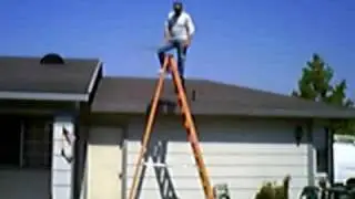 12 Foot Husky Ladder For Sale