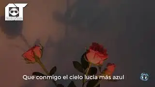 Pomme - À peu près (Sub - Español)