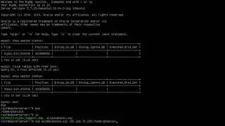 Setting Up Mysql Replication Part 2