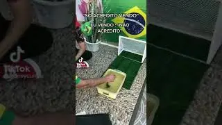 🐟 peixe pombo 2022