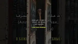 Перевод (часть 2)