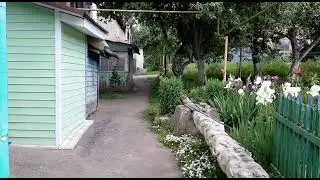 Наш маленький цветочный мир у дома!