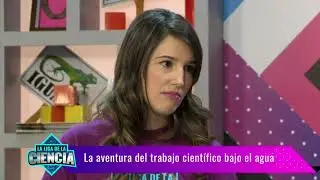 CONICET Documental: La Biodiversidad de Organismos Marinos