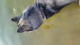 Продолжаем отдыхать!