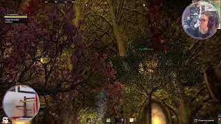 TESO и Чаёк! ★ Пытаемся разобраться в новых скиллах
