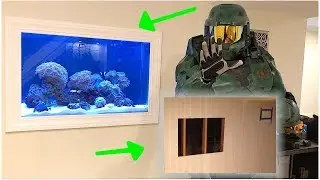 My In Wall Aquarium Start to Finish! DIY!
