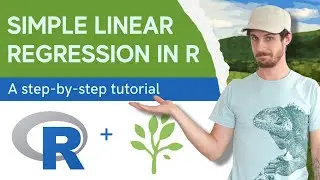 Tutorial on how to do simple linear regression in R
