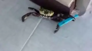 Ты че дядя?