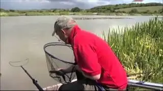 Ловля линя с берега штекер и матч. Рыболовные уроки Кевина Грина.