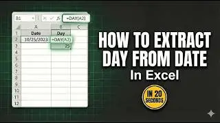 Convert Date To Day Of Week In Excel | Easy TEXT Function Tutorial For Beginners | Learn Excel 2026
