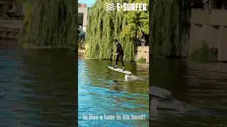 Drunken eFoiler ?