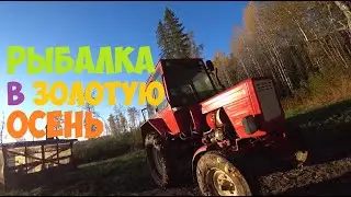 Рыбалка золотой осенью на лесном озере
